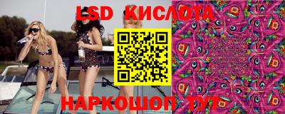 эйфоретик Новозыбков