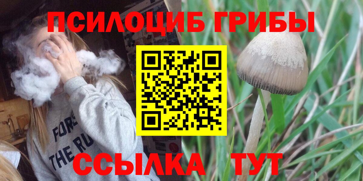 Тимашёвск  Галлюциногенные грибы ЛСД  Галлюциногенные грибы прущие грибы  Вход с VPN 